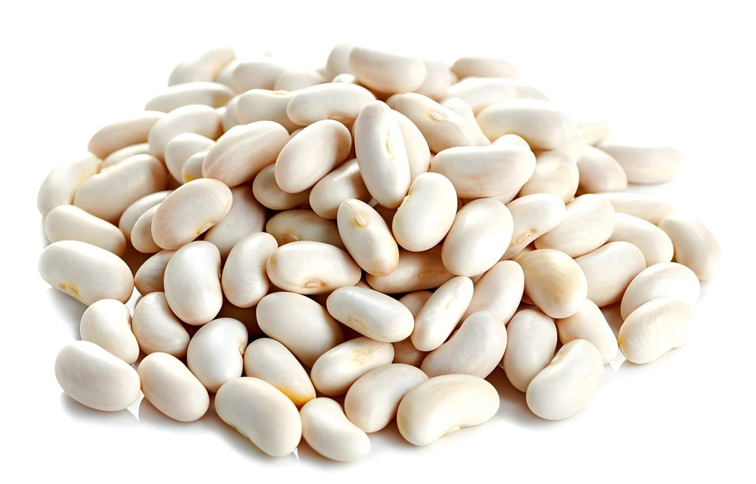 White Lablab Bean