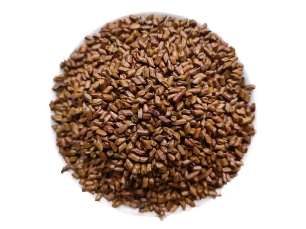 Cassia Seed